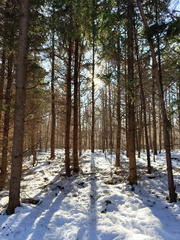 IMG-20250119-WA0016