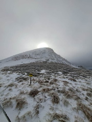 IMG-20250201-WA0003
