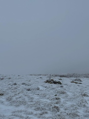 IMG-20250201-WA0032