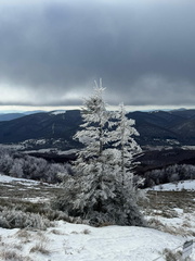 IMG-20250201-WA0030