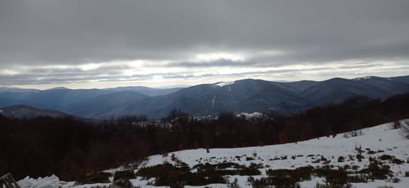 IMG-20250201-WA0014