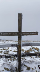 IMG-20250203-WA0001