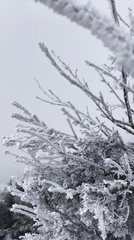 IMG-20250203-WA0015