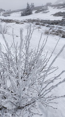 IMG-20250203-WA0018