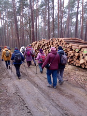 IMG-20250206-WA0005