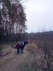 IMG-20250206-WA0013