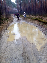 IMG-20250206-WA0016