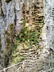 IMG-20250208-WA0019
