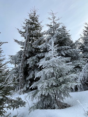 IMG-20250209-WA0005