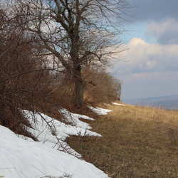 2025-02-16 Kopystańska