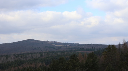 IMG 20250216 130614