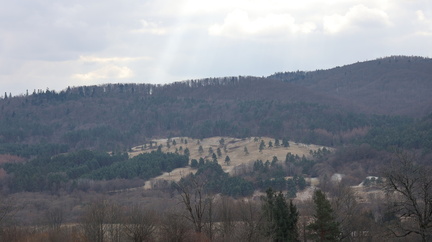 IMG 20250216 132157