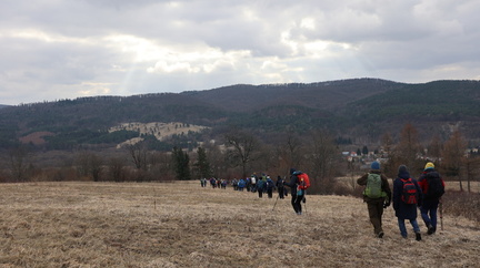 IMG 20250216 132213