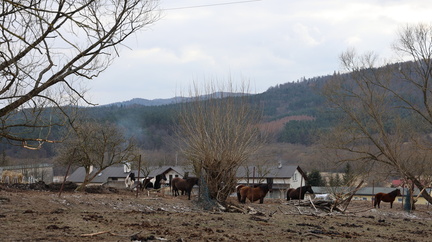 IMG 20250216 132903