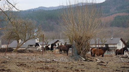 IMG 20250216 132913
