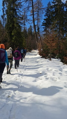 IMG-20250301-WA0007