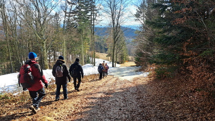 IMG-20250301-WA0012