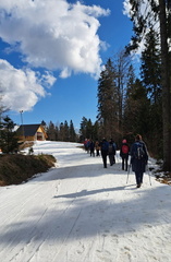 IMG-20250301-WA0019