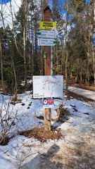 IMG-20250301-WA0018