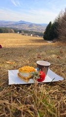 IMG-20250309-WA0043