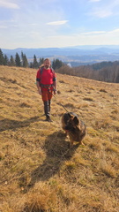 IMG-20250309-WA0053