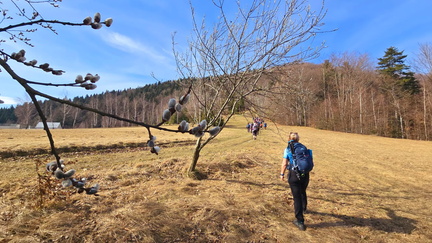 IMG-20250309-WA0038