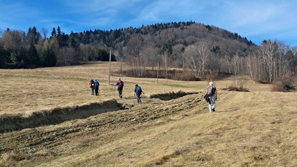 IMG-20250309-WA0033