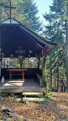 IMG-20250309-WA0037