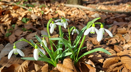 IMG-20250309-WA0045