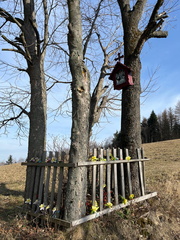 IMG-20250309-WA0014