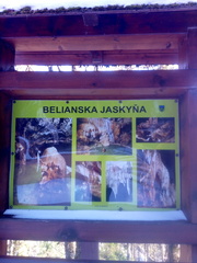 IMG-20250320-WA0020