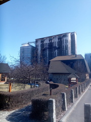 IMG-20250320-WA0029