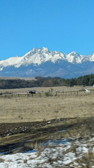 IMG-20250320-WA0047