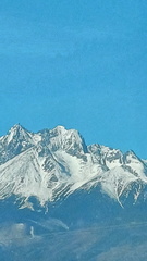 IMG-20250320-WA0049