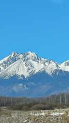 IMG-20250320-WA0050