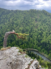 IMG-20250510-WA0027
