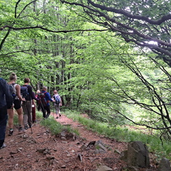 2025-06-14 Jasło