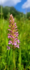 IMG-20250614-WA0038