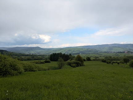 IMG-20250511-WA0005