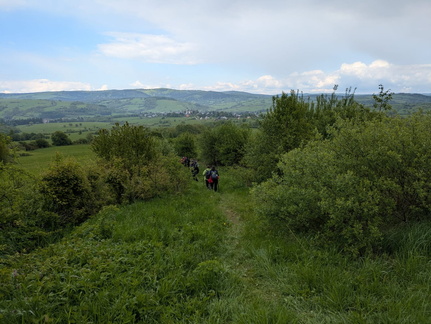 IMG-20250511-WA0004