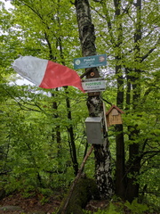 IMG-20250511-WA0010