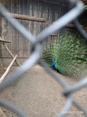 IMG-20250517-WA0055