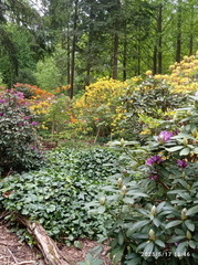 IMG-20250517-WA0059