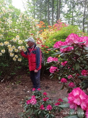 IMG-20250517-WA0060