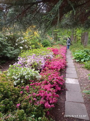 IMG-20250517-WA0062
