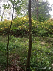 IMG-20250517-WA0065
