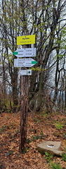IMG-20250517-WA0014