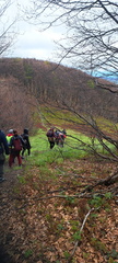 IMG-20250517-WA0016