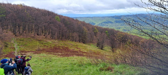 IMG-20250517-WA0017