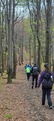 IMG-20250517-WA0019